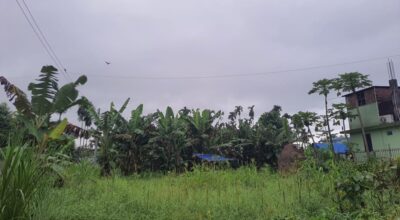 आज पनि कोशी, लुम्बिनी, कर्णाली र सुदूरपश्चिम प्रदेशमा वर्षाको सम्भावना