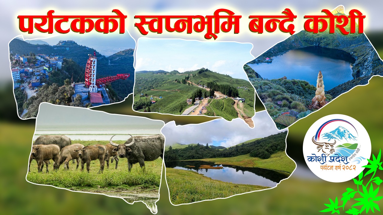 कोशी पर्यटन वर्षलाई उचाइमा पुर्‍याउने आधार तयार भयो, अब एक्सनमा काम हुन्छ : कृष्ण शाह