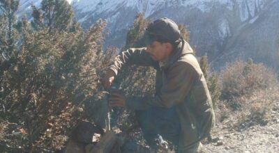 मनाङमा हिउँ चितुवा सर्वेक्षण : ङिस्याङ, नारफू र तिलिचो आसपासका क्षेत्र बासस्थान