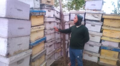 अवकाशपछिको जाँगरः मौरीपालनबाट मनग्य आम्दानी गर्दै घनश्याम