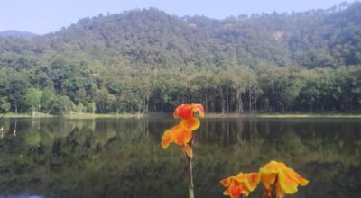 आहा ! आलिताल