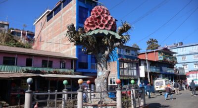 स्थानीय चिनारी बोकेका स्तम्भले बढाउँदै तेह्रथुमको आकर्षण