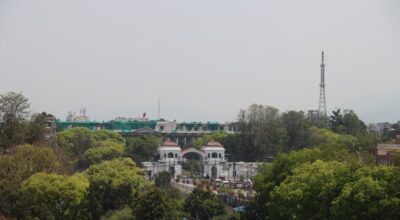 वसन्तको आगमनसँगै काठमाडौँमा छायो हरियाली