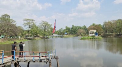 शङ्करबेली सिमसारमा दैनिक हजारौँ पर्यटक