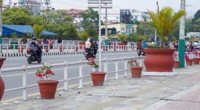 सडक किनारामा फूल रोपेर शहर सफा बनाउँदै महानगर