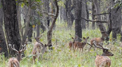 छ महिनामा दुई हजार छ सय पर्यटकले गरे शुक्लाफाँटा भ्रमण